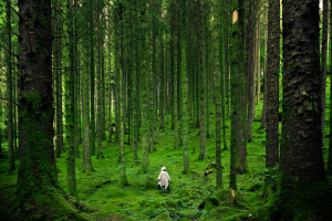 PhotoshopExtension_Image (1)