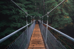 PhotoshopExtension_Image (5)
